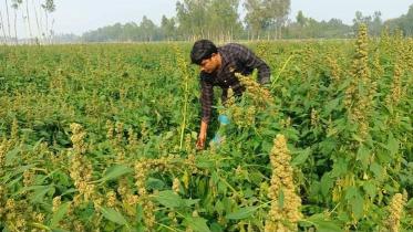 lalmonirhat.jpg