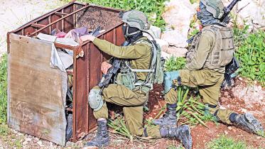 jenin.jpg