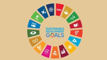 sdg-financing-strategy.jpg
