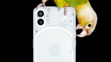 phone_1_nothing.jpg