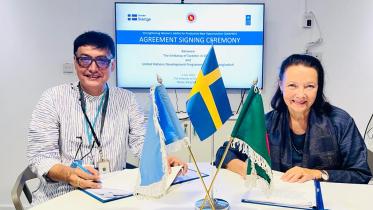undp-sweden.jpeg