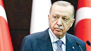 turkey-seo.jpg