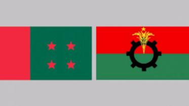al_bnp_.jpg