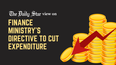 austerity measures.png