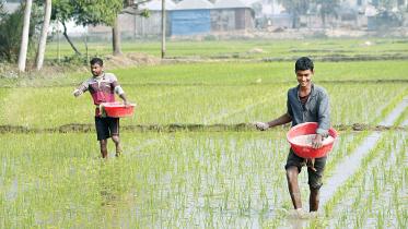 farmers-apply-fertiliser.jpg