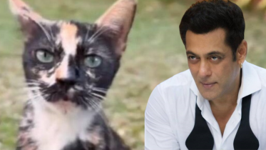 Salman Khan Billi Billi song 