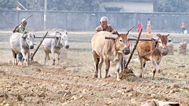 farmers.jpg