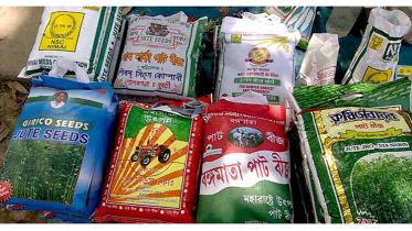 jute-seeds-imported.jpg