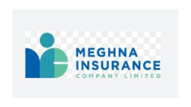 meghna-ins-profit.jpg