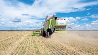 wheat-prices-down-globally.jpg