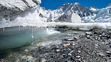 himalayan.jpg