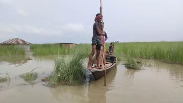 kurigram-flood