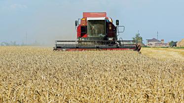 crops.jpg