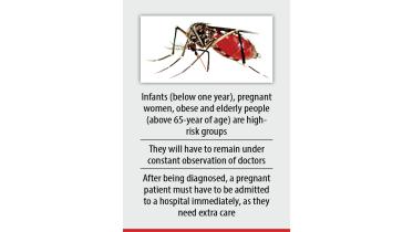 dengue.jpg