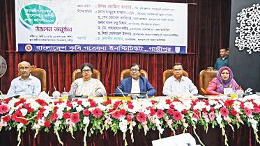 bangladesh-agricultural-research-institute.jpg