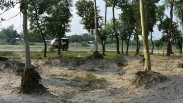 teesta-irrigation-sand-lifting-1.jpg