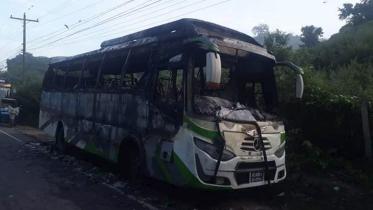 bus.jpg