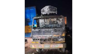 truck-web.jpg
