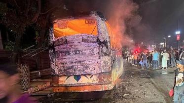 bus-web.jpg