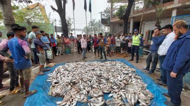 jatka-seized.jpg
