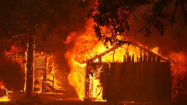 actions to fight climate change