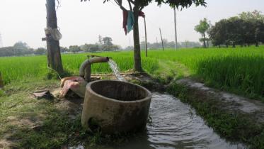 heatwave raises concerns over Boro yield