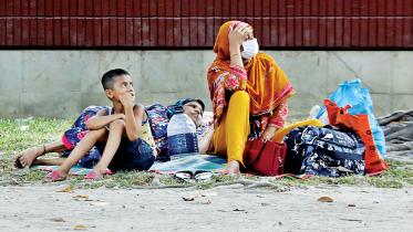 heatwaves impact on heart and kidney