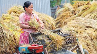 agricultural-sector.jpg