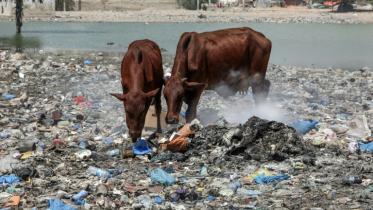 plastic_pollution.jpg