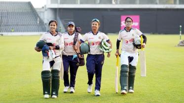 tigresses.jpg