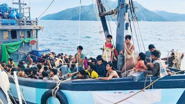 picmigrant.jpg