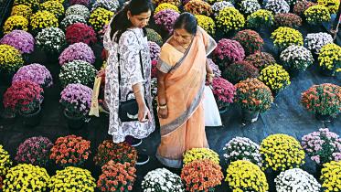 flower.jpg