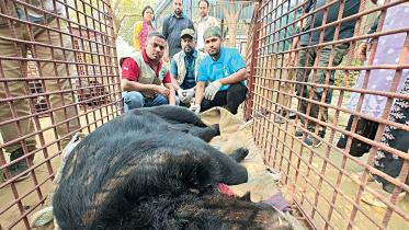 wildlife-crime-control-unit.jpg
