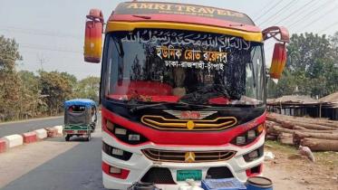 bus