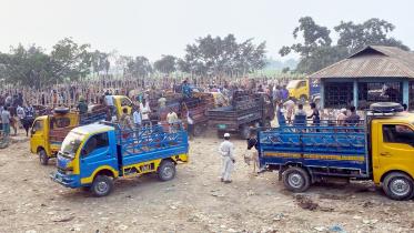 dinarpur.jpg