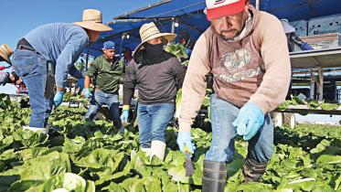 us-food-producing-state.jpg