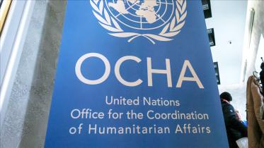 ocha.jpg