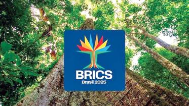 brics.jpg