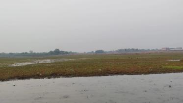 wetland-dependent-wildlife-sanctuaries.jpg