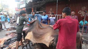 rawhide price drops during eid-ul-azha 2025