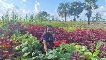 Saline soil, cyclones, health risks — Women farmers remain resilient