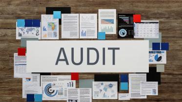 auditors failed to show real business conditions