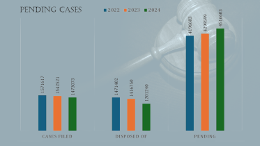 pending_cases_bangladesh_2025.png