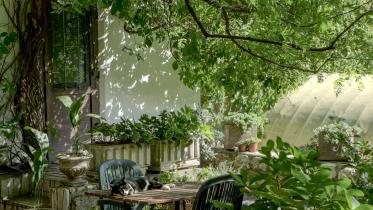 Jazz up your garden this summer with these simple tricks!         robin-wersich-q0irpwqimr4-unsplash.jpg