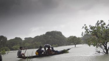 Ratargul and rain: A monsoon tale in motion Ratargul and rain: A monsoon tale in motion