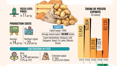 potato-export.jpg