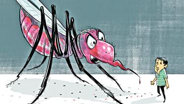 dengue-cartoon.jpg