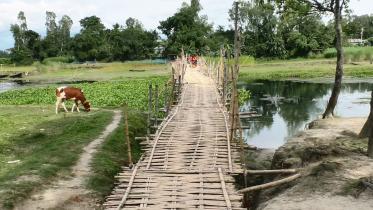 risky-bamboo-bridge.jpg