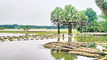faridpur-sadar.jpg