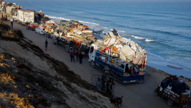 Palestine displacement.png